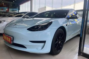Model 3 特斯拉 改款 標(biāo)準(zhǔn)續(xù)航后驅(qū)升級版