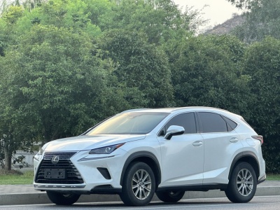 2019年5月 雷克萨斯 NX 200 前驱 锋行版 国V图片