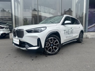 2023年11月 寶馬 寶馬iX1 xDrive30L X設(shè)計(jì)套裝圖片