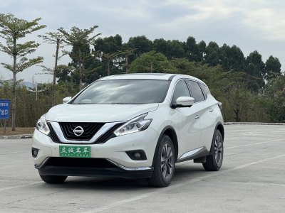 2021年3月 日產(chǎn) 樓蘭 2.5L XL 兩驅(qū)智聯(lián)豪華版圖片