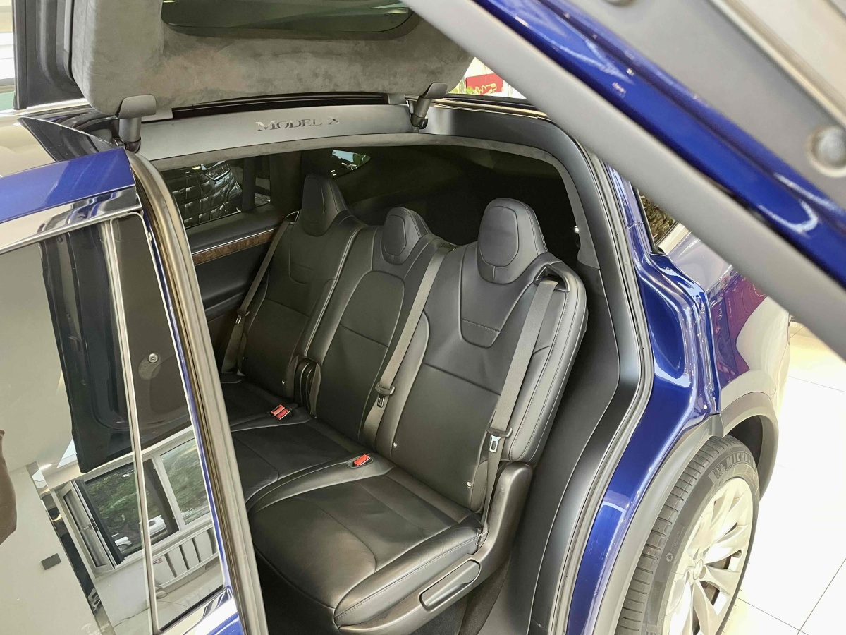 特斯拉 Model X  2016款 Model X 90D圖片