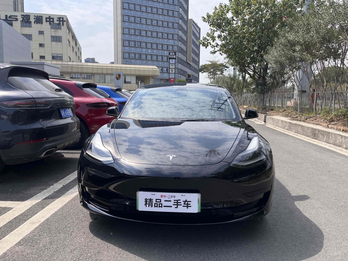 特斯拉 Model 3  2021款 標(biāo)準(zhǔn)續(xù)航后驅(qū)升級版 3D6圖片