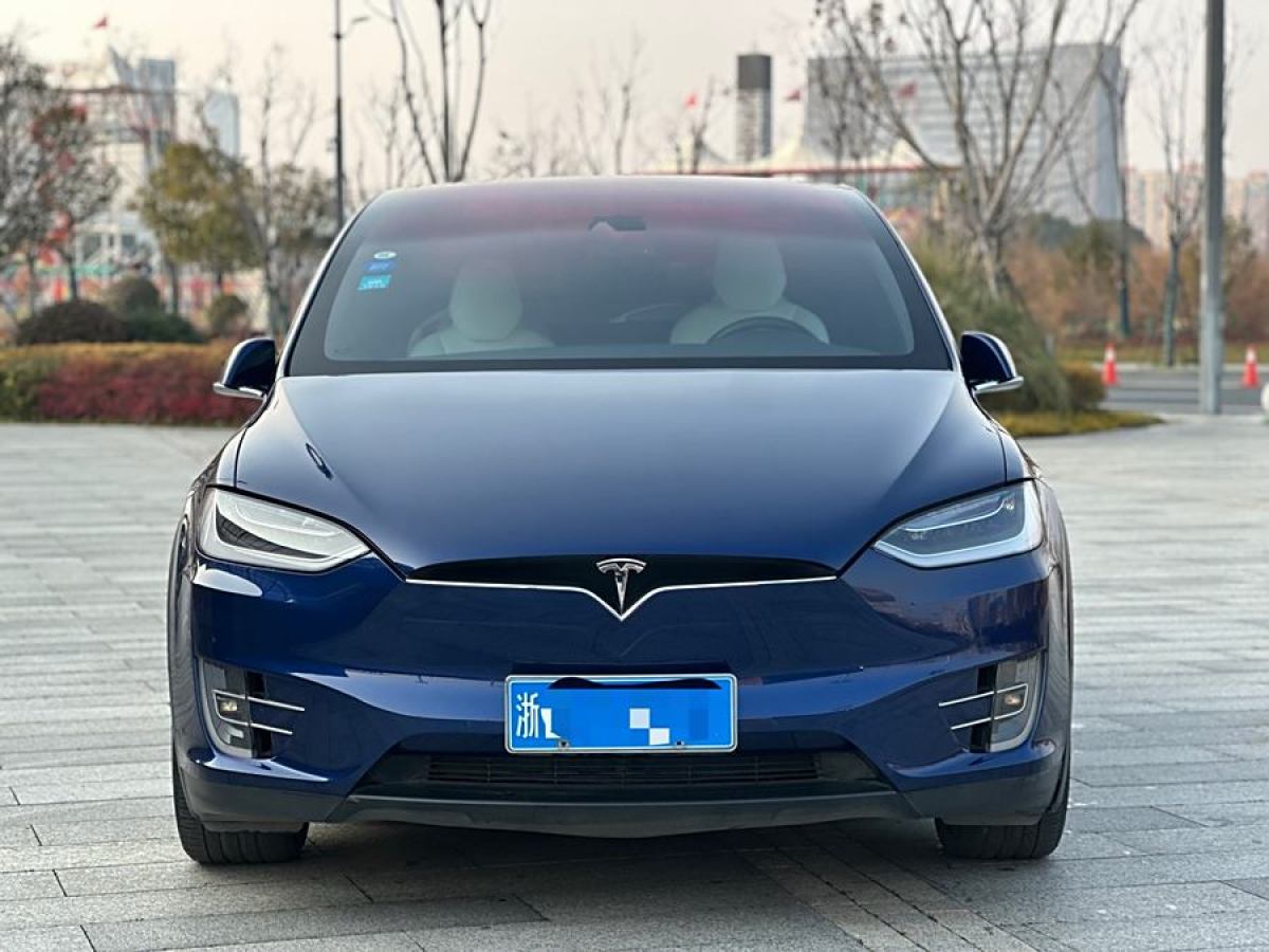 特斯拉 Model X  2016款 Model X 75D圖片