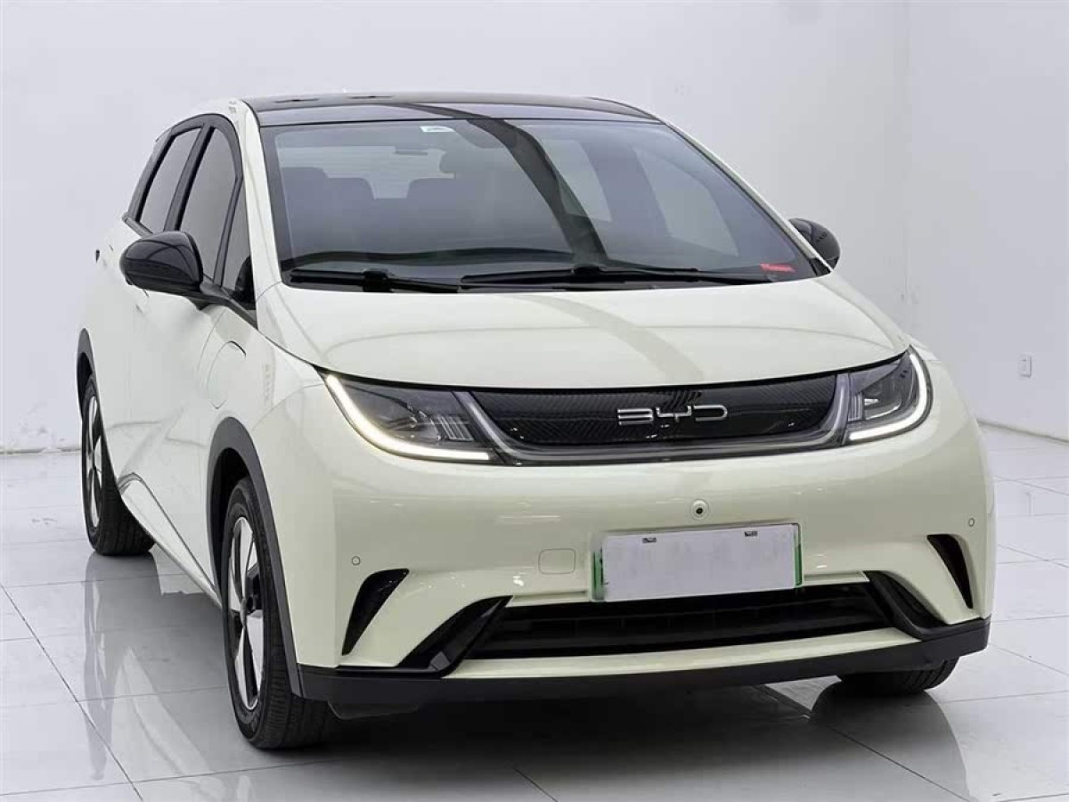 比亞迪 海豚  2023款 420km 時(shí)尚版圖片