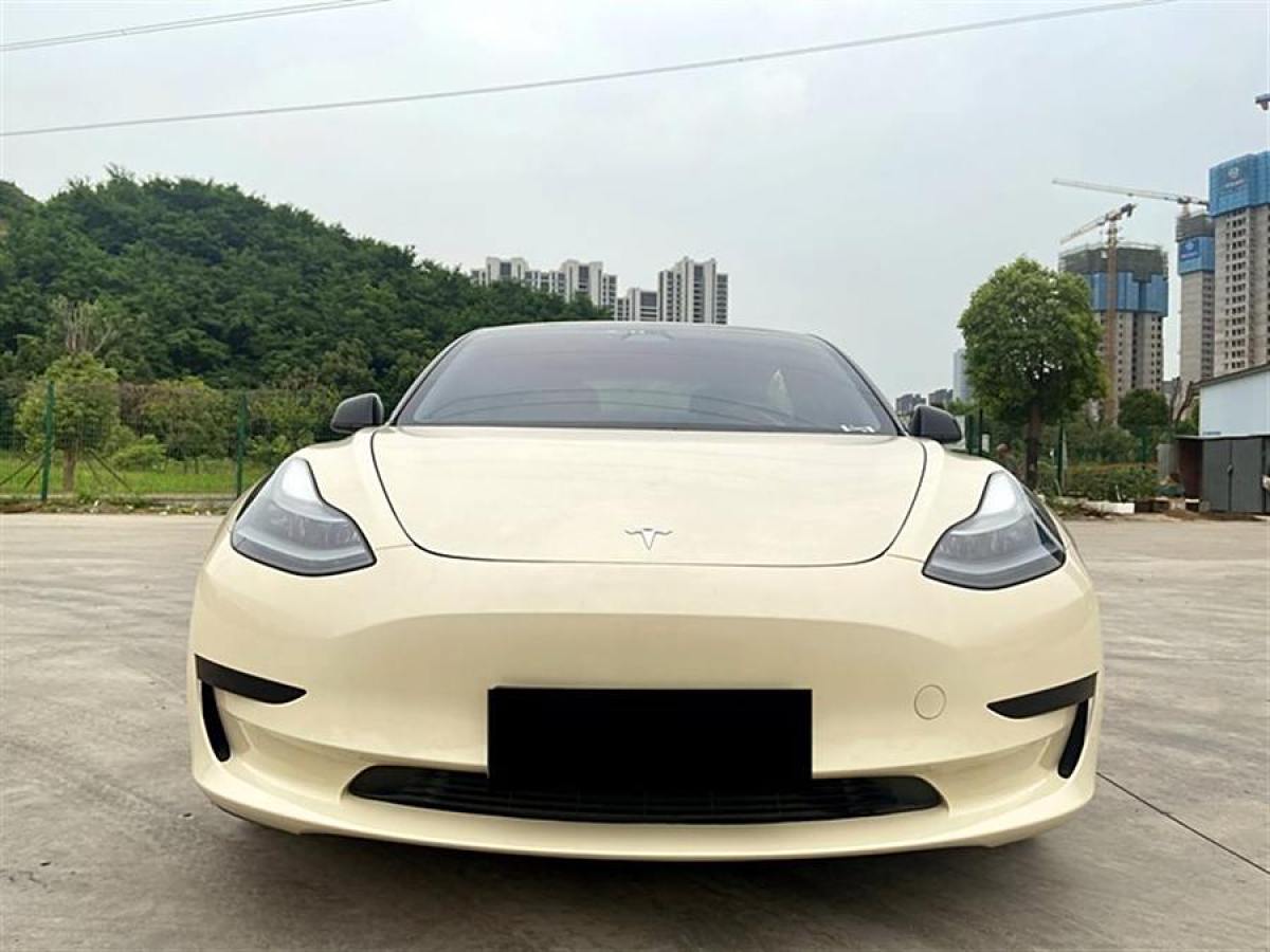 2021年1月特斯拉 Model 3  2019款 標(biāo)準(zhǔn)續(xù)航后驅(qū)升級(jí)版