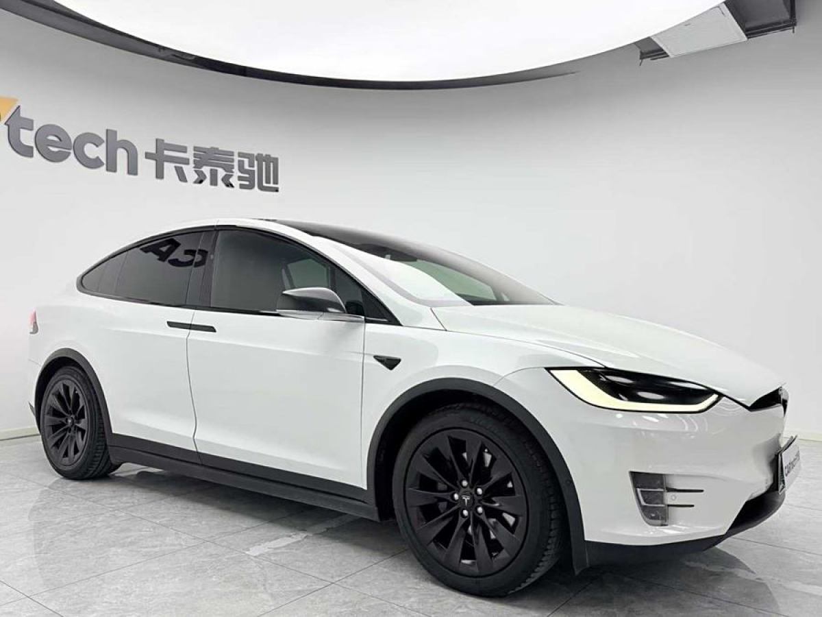 特斯拉 Model X  2016款 Model X 75D圖片