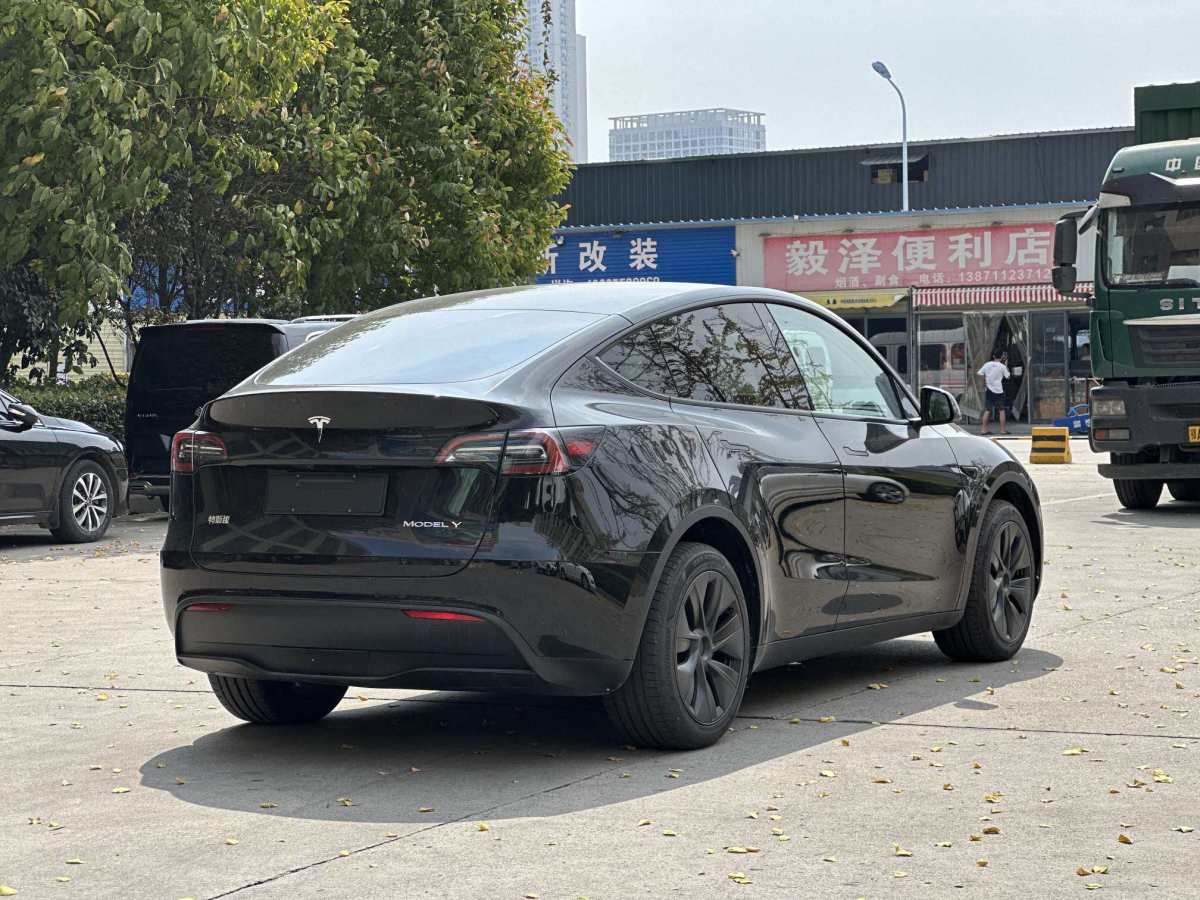 2024年9月特斯拉 Model 3  2024款 長續(xù)航全輪驅(qū)動版