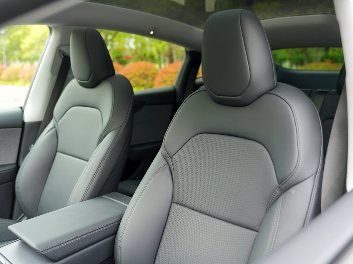 特斯拉 Model Y  2025款 后輪驅(qū)動版圖片