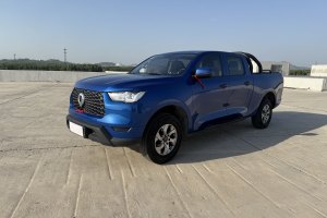 炮 長(zhǎng)城 2.0T商用版手動(dòng)柴油兩驅(qū)精英型長(zhǎng)箱GW4D20M