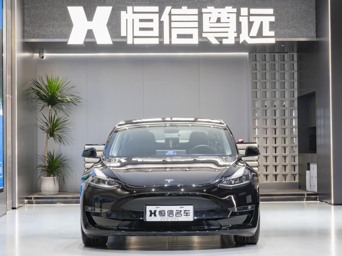 特斯拉 Model 3  2019款 Performance高性能全輪驅(qū)動(dòng)版圖片