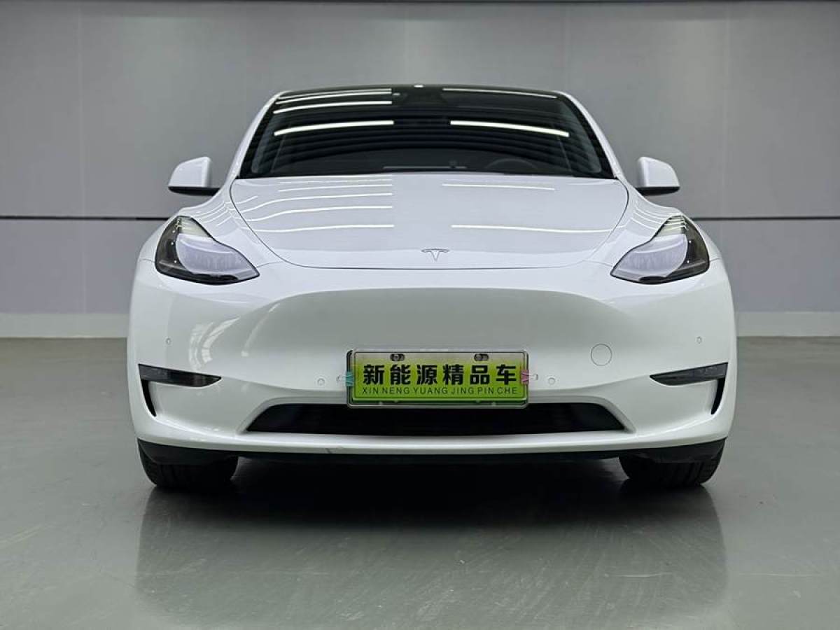 特斯拉 Model Y  2021款 改款 長續(xù)航全輪驅(qū)動版圖片