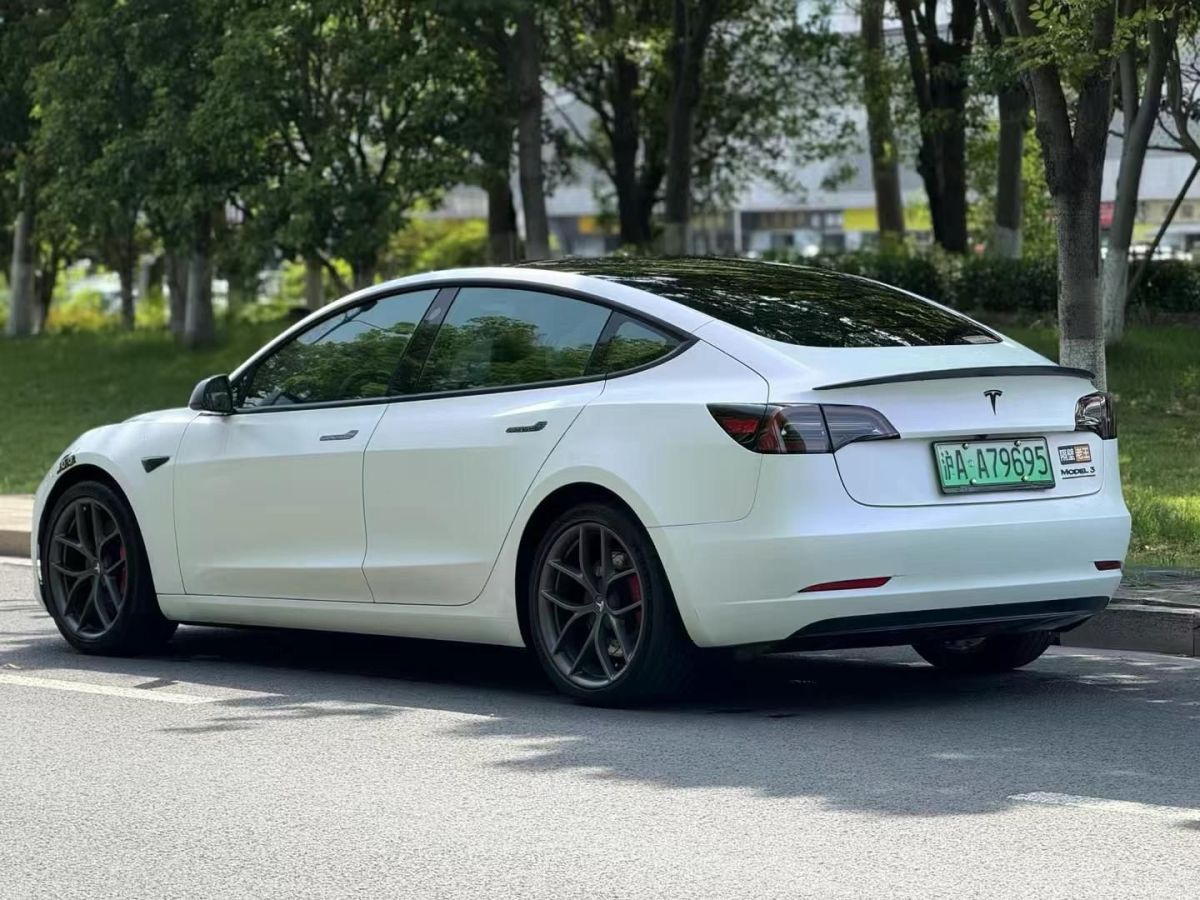 特斯拉 Model S  2021款 Performance 高性能版圖片