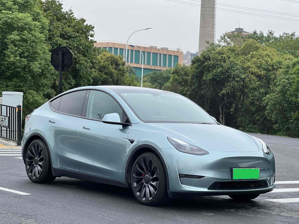 特斯拉 Model Y  2022款 Performance高性能全輪驅動版圖片