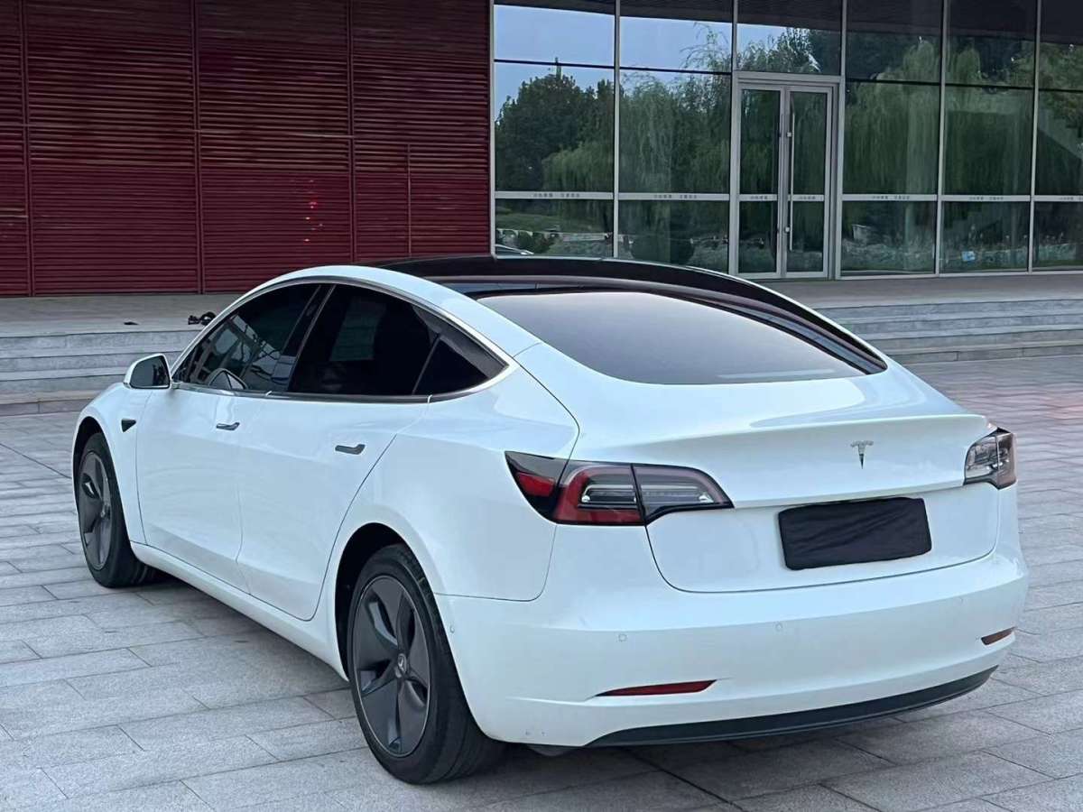 特斯拉 Model Y  2020款 標準續(xù)航后驅(qū)升級版圖片