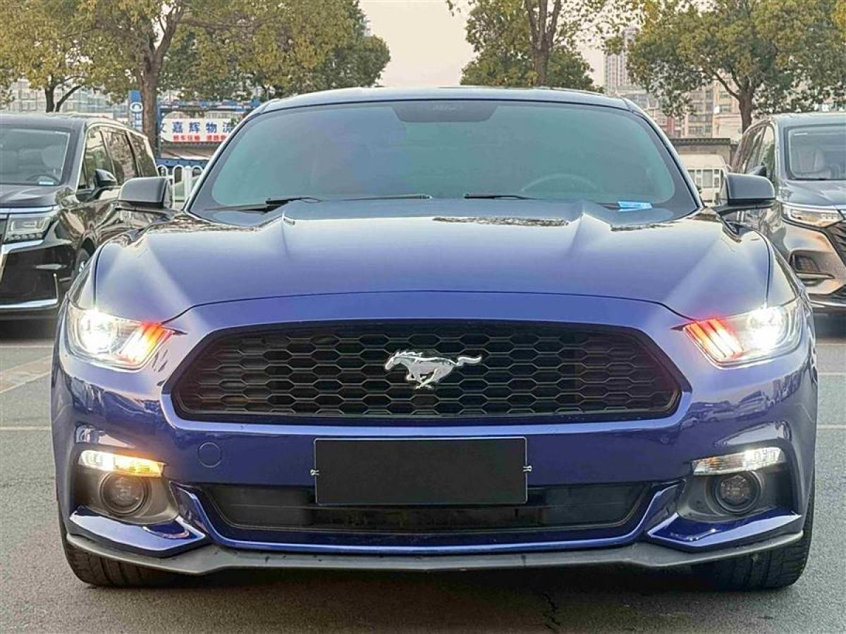 福特 Mustang  2015款 2.3T 性能版圖片