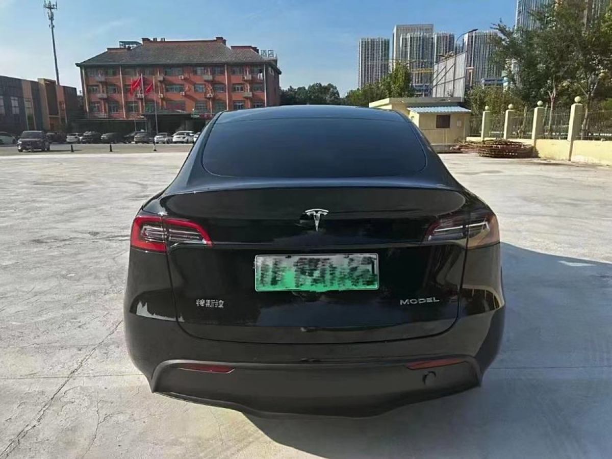 特斯拉 Model 3  2020款 改款 長續(xù)航后輪驅(qū)動版圖片