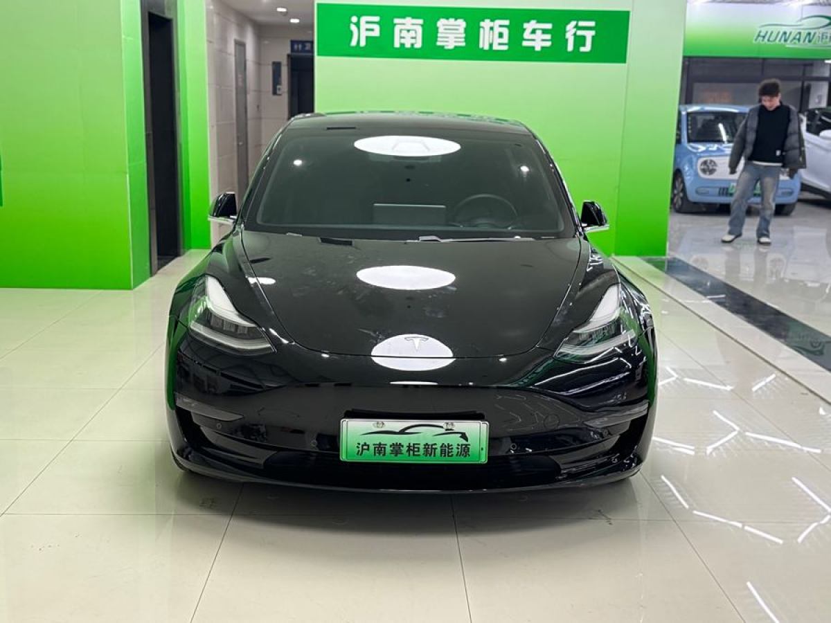 特斯拉 Model 3  2020款 改款 長續(xù)航后輪驅(qū)動(dòng)版圖片