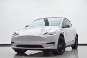 Model Y 特斯拉 改款 长续航后轮驱动版