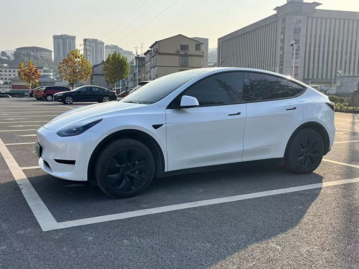 特斯拉 Model 3  2020款 改款 長續(xù)航后輪驅動版圖片