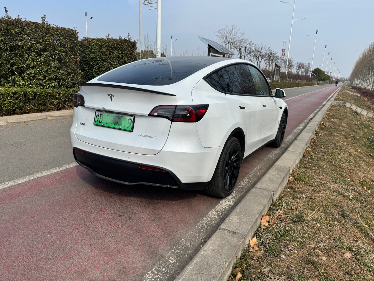 特斯拉 Model 3  2020款 改款 長續(xù)航后輪驅(qū)動版圖片