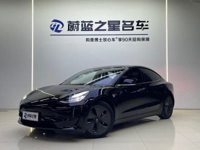 2020年5月 特斯拉 Model Y 改款 標(biāo)準(zhǔn)續(xù)航后驅(qū)升級版圖片