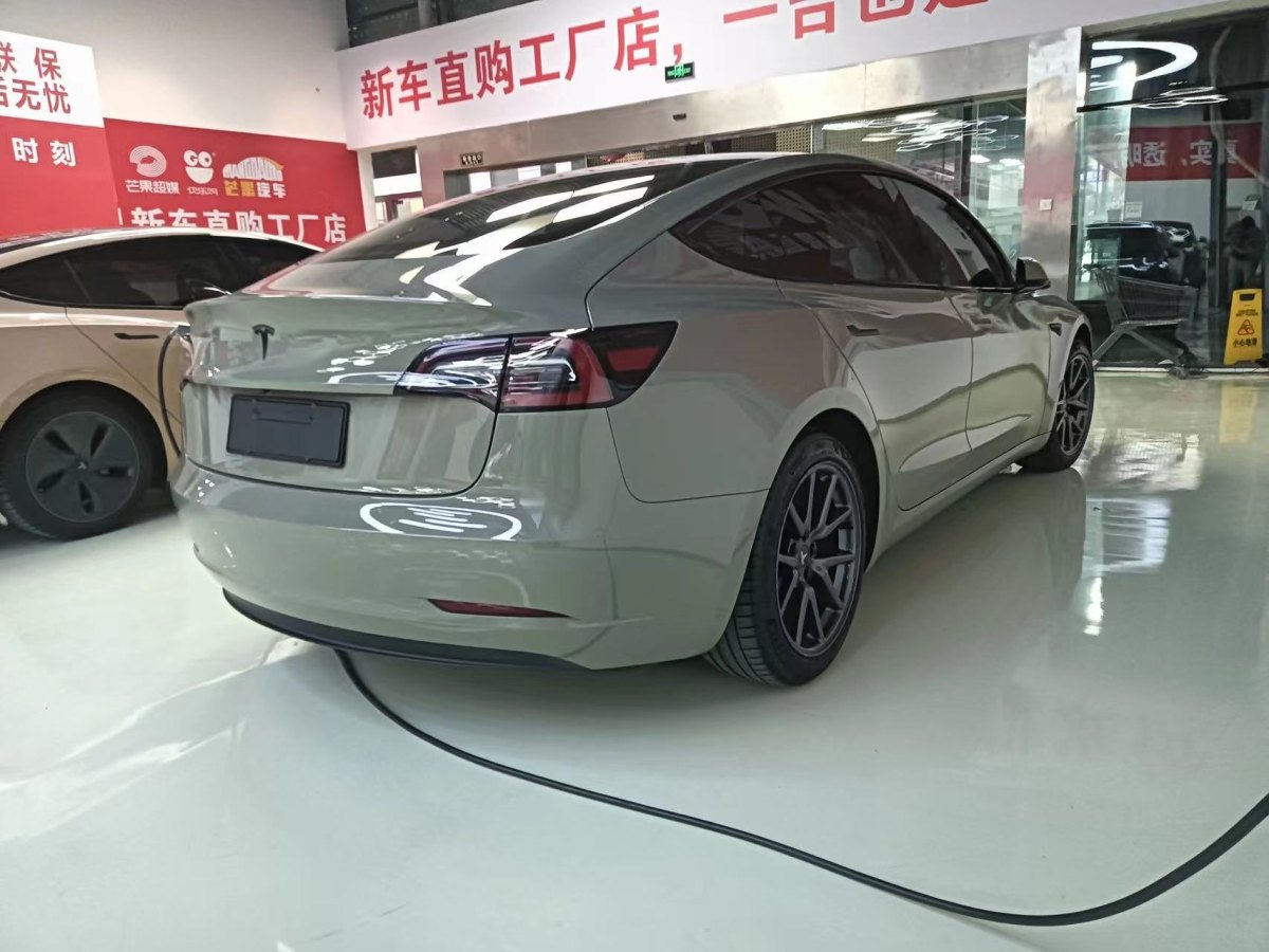 特斯拉 Model 3  2019款 標(biāo)準(zhǔn)續(xù)航后驅(qū)升級(jí)版圖片