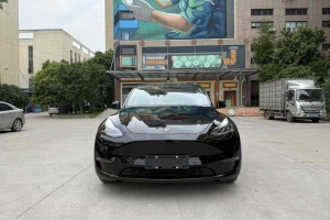 Model Y 特斯拉 改款 長續(xù)航全輪驅(qū)動版