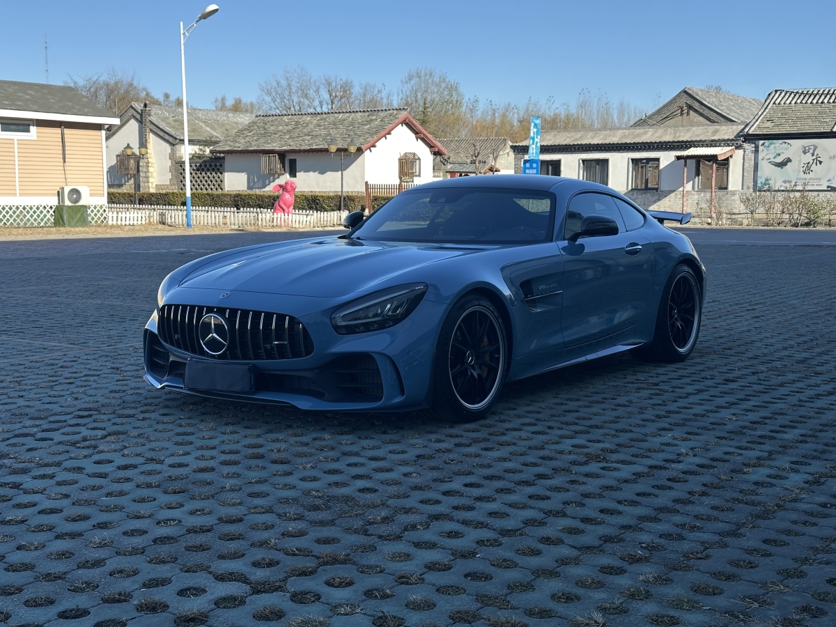 奔馳 奔馳AMG GT  2019款 AMG GT R圖片