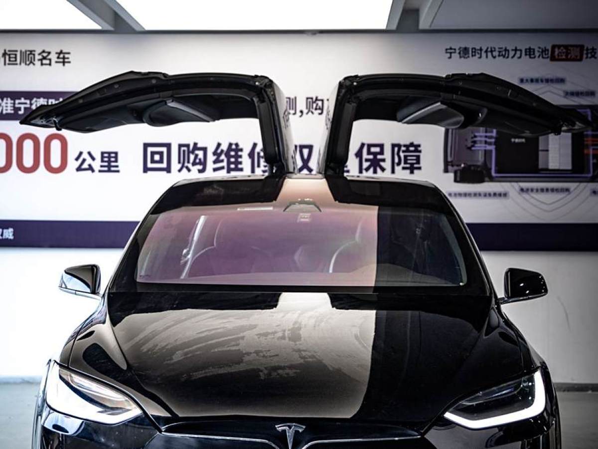 2021年1月特斯拉 Model X  2020款 長(zhǎng)續(xù)航升級(jí)版