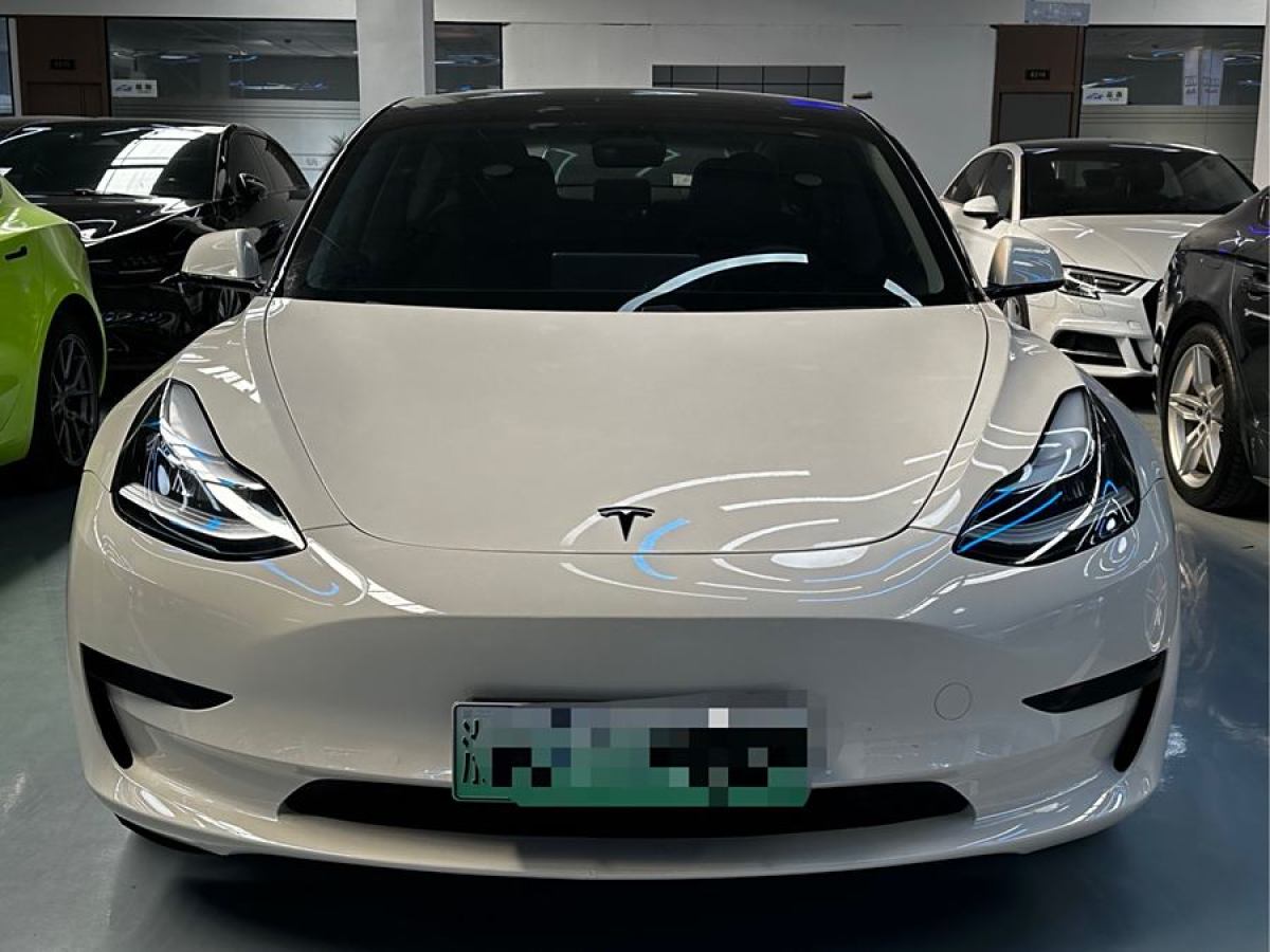 特斯拉 Model 3  2020款 改款 標準續(xù)航后驅(qū)升級版圖片