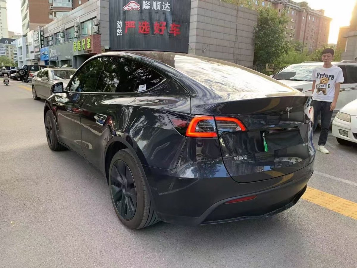 特斯拉 Model Y  2020款 改款 長(zhǎng)續(xù)航后輪驅(qū)動(dòng)版圖片