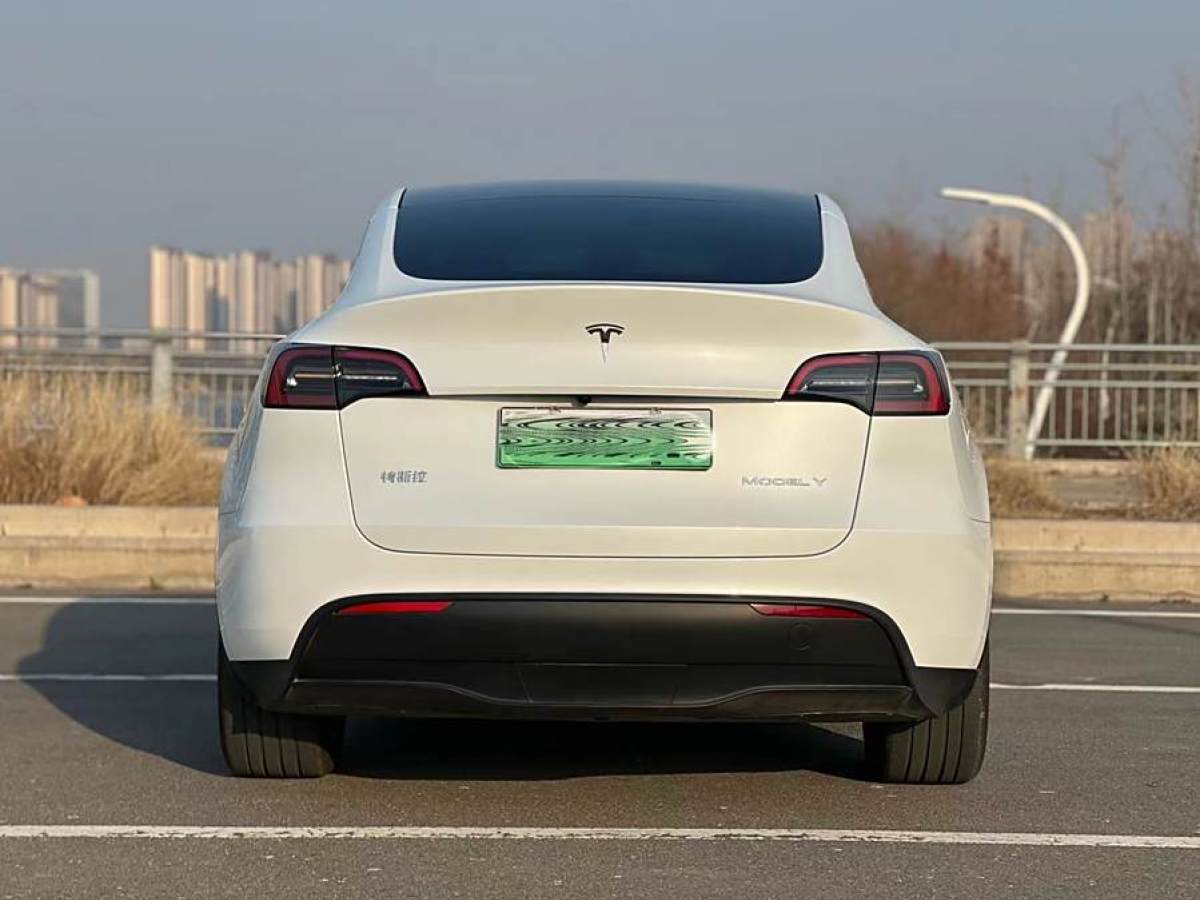 特斯拉 Model 3  2020款 改款 長(zhǎng)續(xù)航后輪驅(qū)動(dòng)版圖片