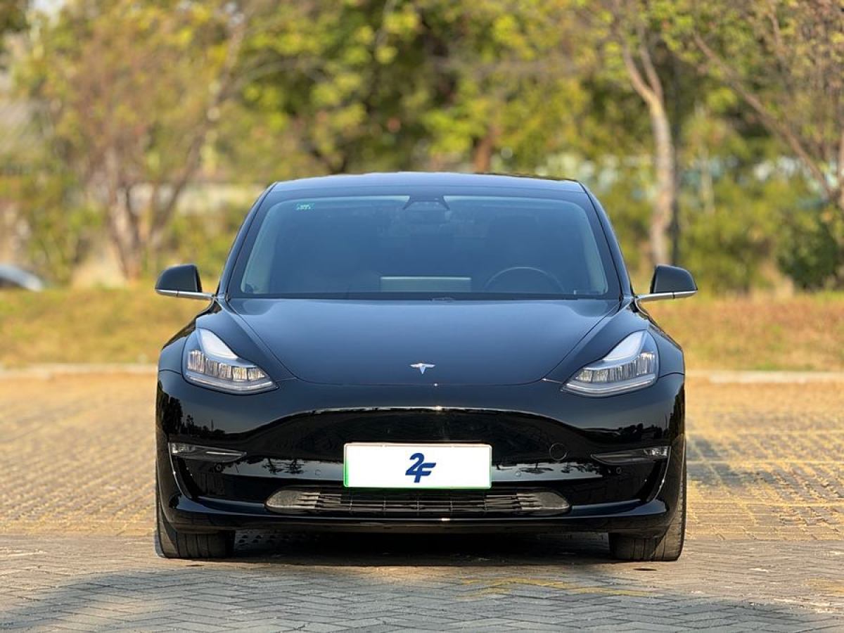 特斯拉 Model 3  2019款 Performance高性能全輪驅(qū)動版圖片