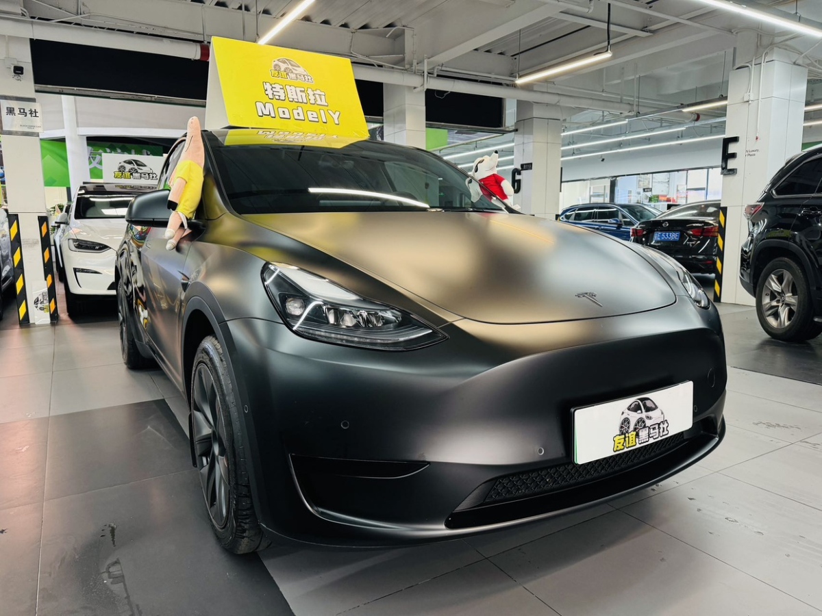 特斯拉 Model Y  2023款 煥新版 后輪驅(qū)動圖片