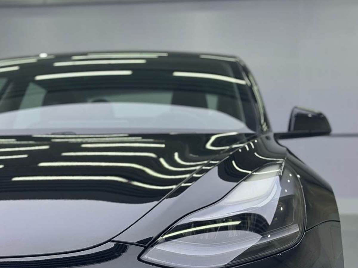 2021年7月特斯拉 Model 3  2021款 標(biāo)準(zhǔn)續(xù)航后驅(qū)升級版 3D6