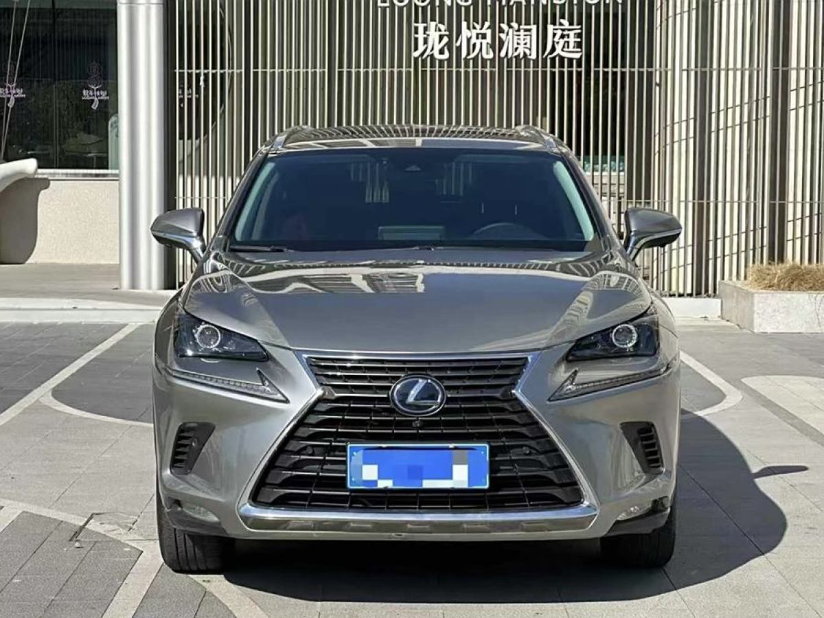 雷克薩斯 NX  2020款 300h 全驅(qū) 鋒致版 國(guó)V圖片