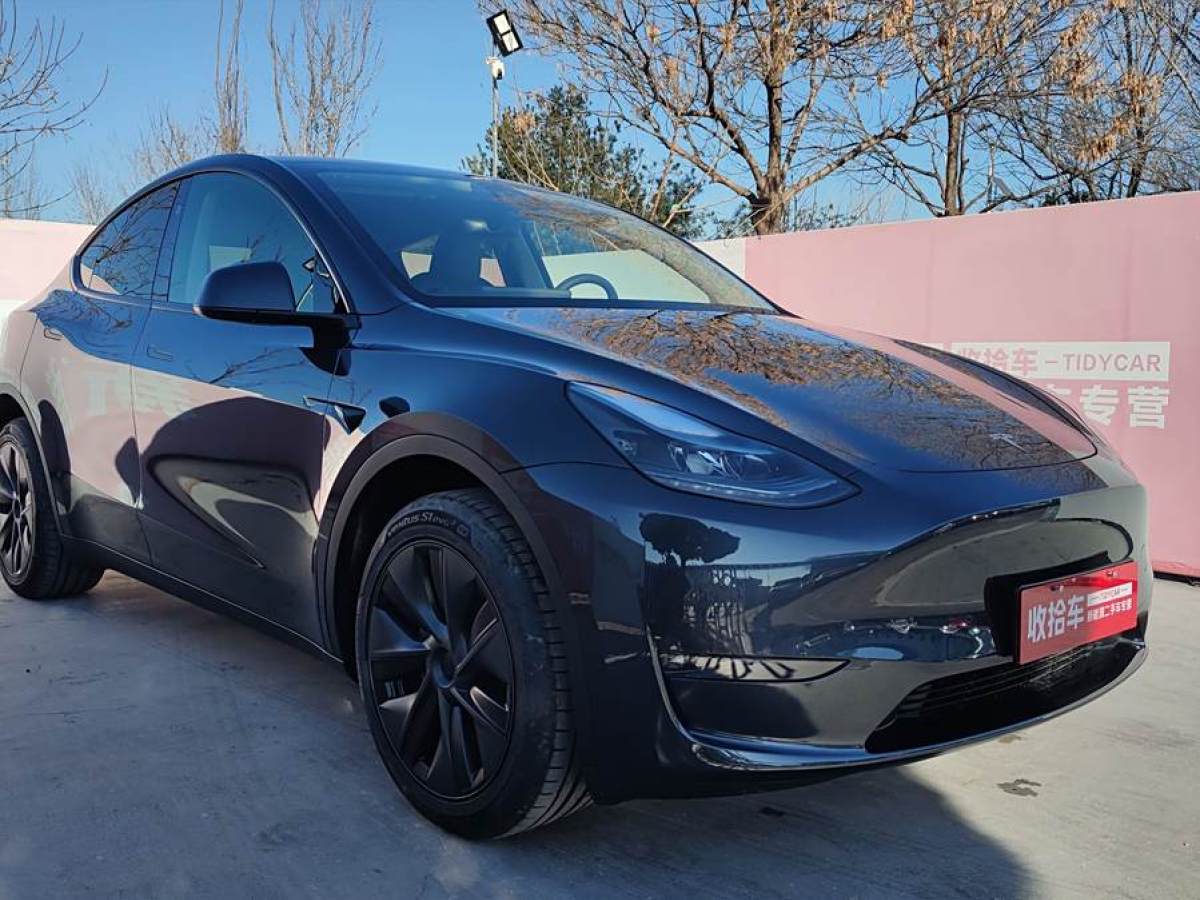 特斯拉 Model Y  2024款 長續(xù)航全輪驅(qū)動版圖片