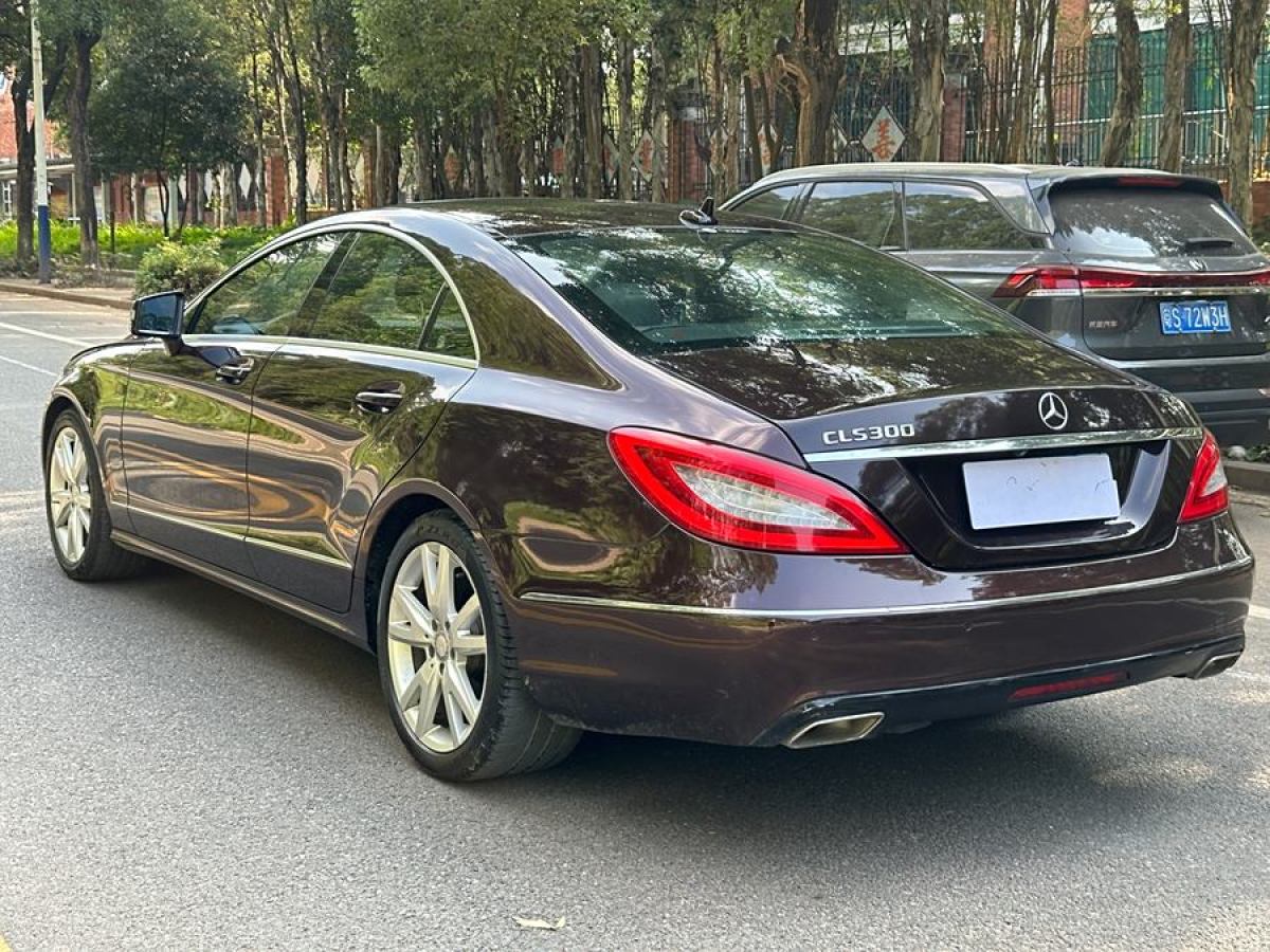 奔馳 奔馳CLS級(jí)  2012款 CLS 300 CGI圖片