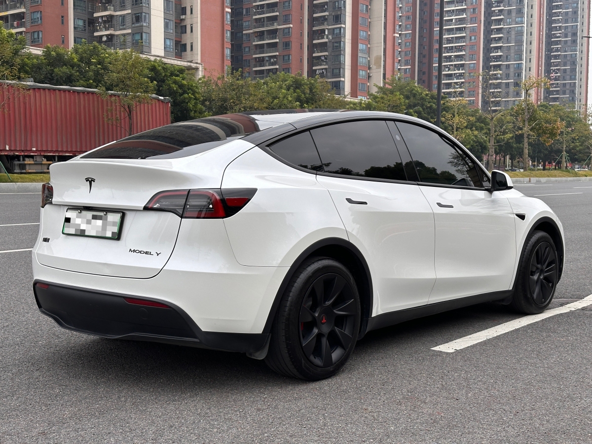 特斯拉 Model 3  2020款 改款 長(zhǎng)續(xù)航后輪驅(qū)動(dòng)版圖片