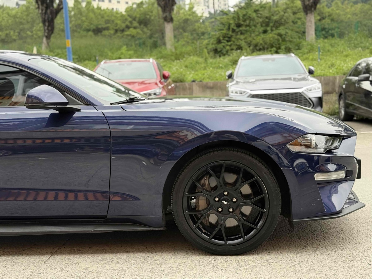 福特 Mustang  2019款 2.3L EcoBoost圖片
