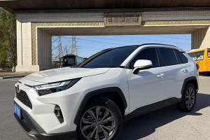 RAV4荣放 丰田 2.0L CVT两驱20周年铂金纪念版