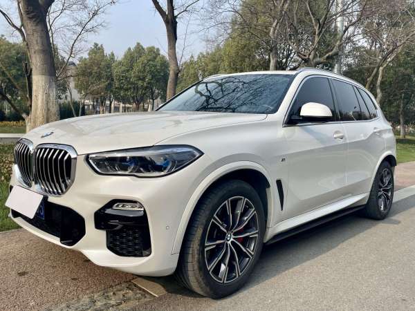 宝马 宝马X5  2019款 xDrive40i M运动套装