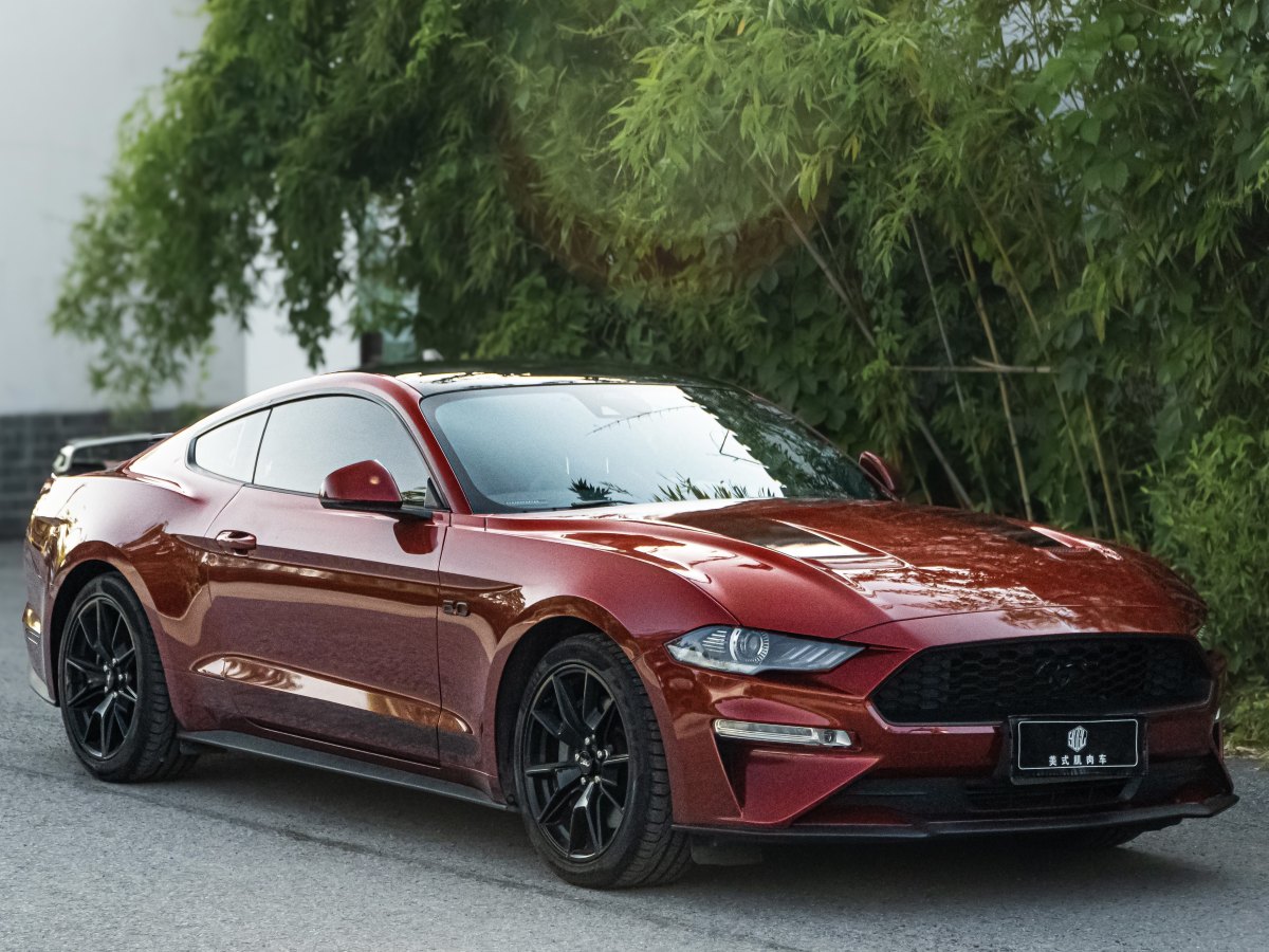 福特 Mustang  2021款 2.3L EcoBoost 黑曜魅影特别版图片