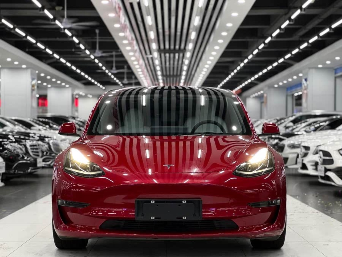 特斯拉 Model 3  2021款 改款 Performance高性能全輪驅(qū)動(dòng)版圖片