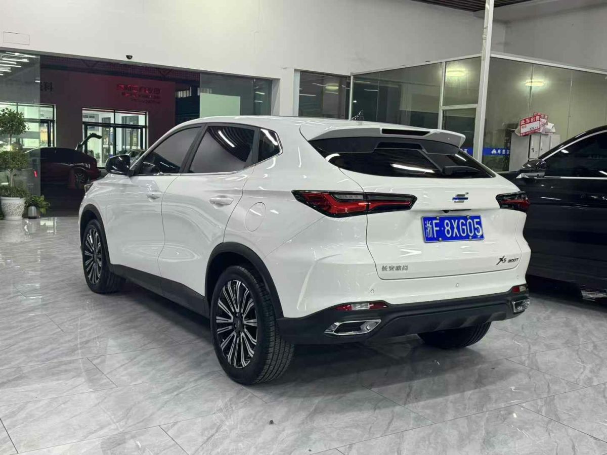 長(zhǎng)安歐尚 長(zhǎng)安歐尚X5  2021款 1.5T DCT尊貴型圖片