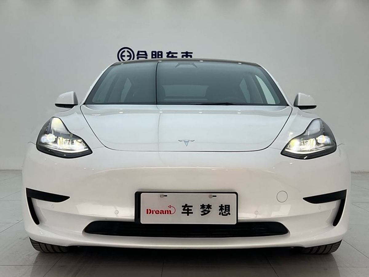 特斯拉 Model 3  2021款 改款 標(biāo)準(zhǔn)續(xù)航后驅(qū)升級版圖片