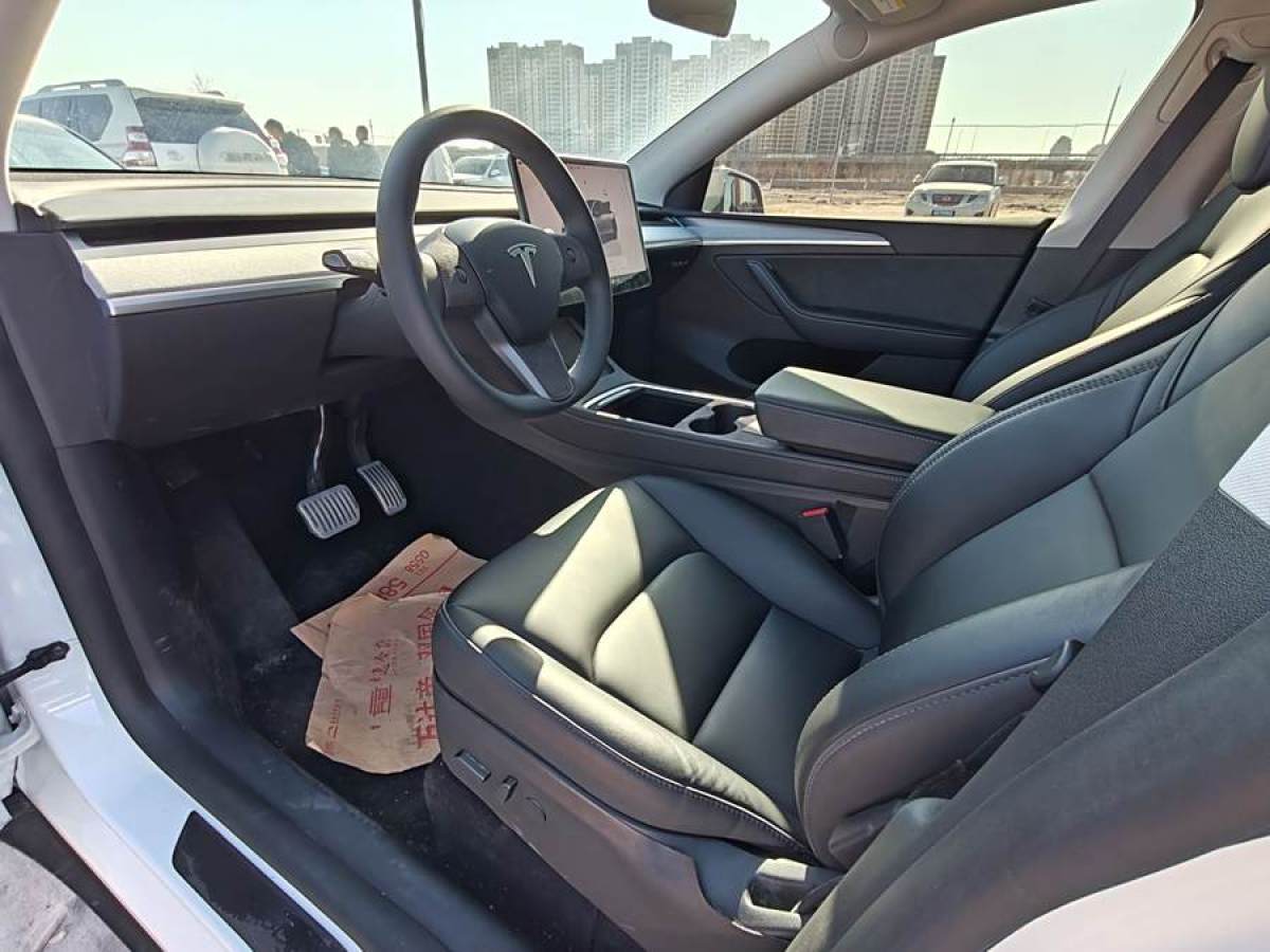 特斯拉 Model 3  2020款 改款 長續(xù)航后輪驅(qū)動版圖片