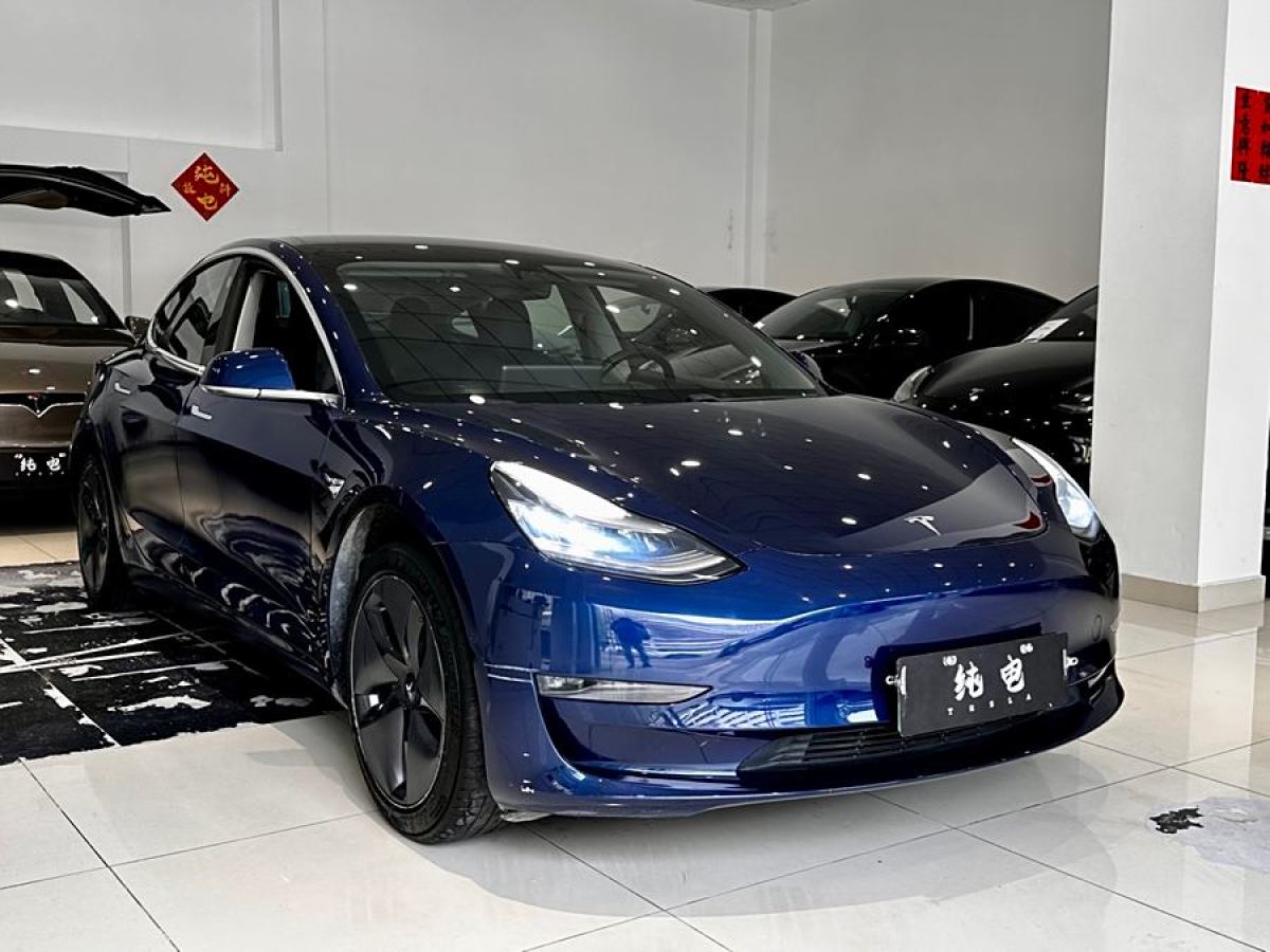 特斯拉 Model 3  2019款 長(zhǎng)續(xù)航后驅(qū)版圖片