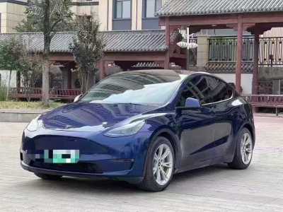 2022年1月 特斯拉 Model 3 后輪驅(qū)動(dòng)版圖片