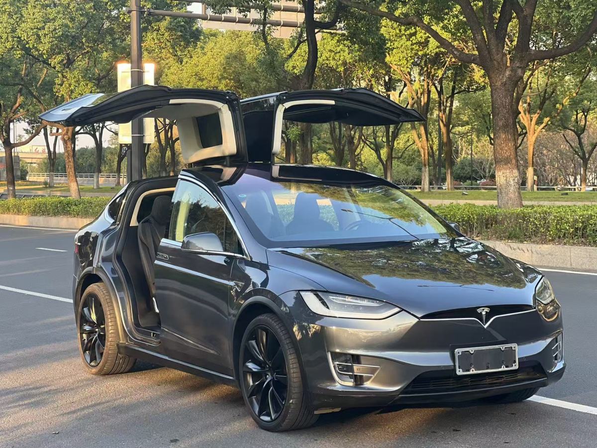 特斯拉 Model X  2016款 Model X 60D圖片